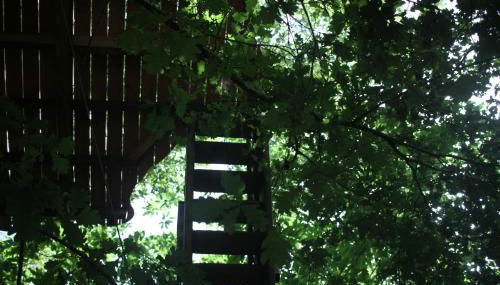 Ô bois dormant - Foto 5