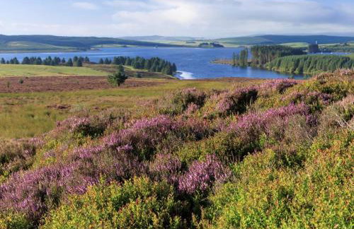 3 Bed in Denbigh oc-93994 - Foto 55