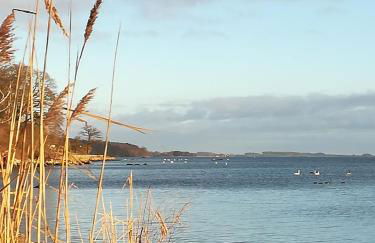 Ich kenne ein Haus am Meer - Foto 39