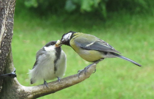 Crinan Canal Cottage No8, Kilmartin - Foto 24