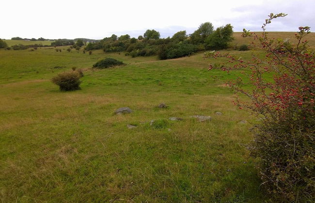 6 Person Holiday Home in Blentarp-by Traum - Foto 15