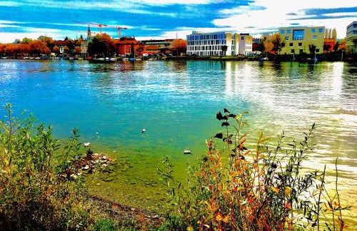 Rhein Romantik riverview - Foto 12