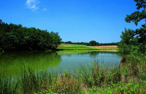Fattoria Casabianca - Foto 20