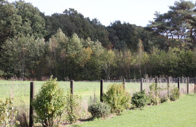 Holiday Home in Haaksbergen by Lake - Photo 28