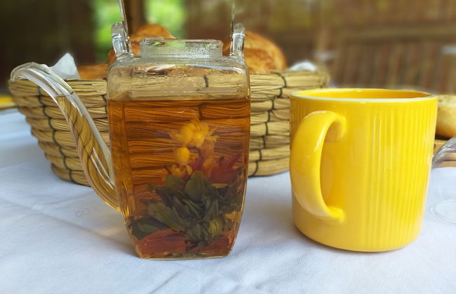 Gite Bois-Cannelle - Photo 23