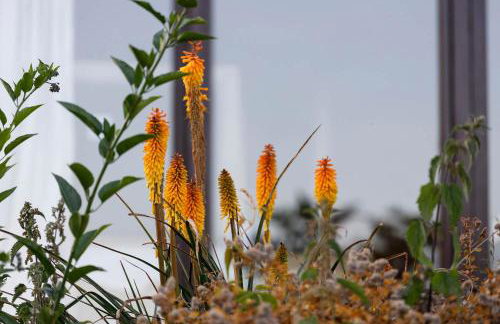 Kingsley Lake View - Foto 41