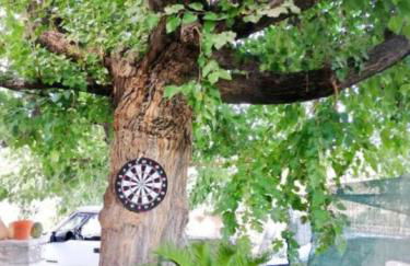 House of Athina and Fanourios - Photo 27