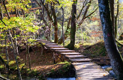 Apartment Goran - Foto 6