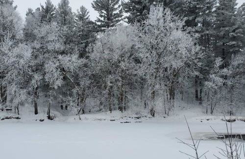 Wilderness Meadows - Foto 21