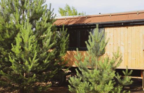 Oaza Święty Spokój - domek z balią i jacuzzi - Foto 33