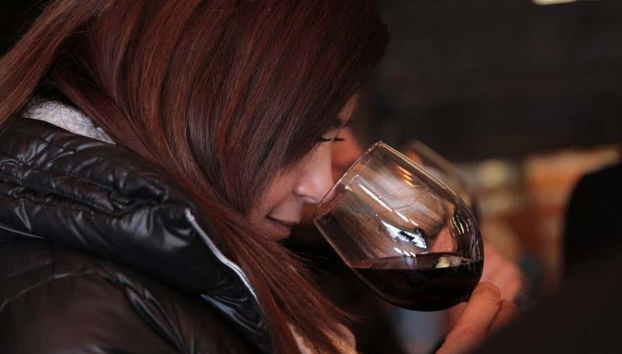 Aguascalientes Private Winery Tour - Foto 5