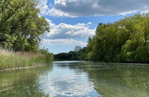 Roundhill New Forest - Foto 7