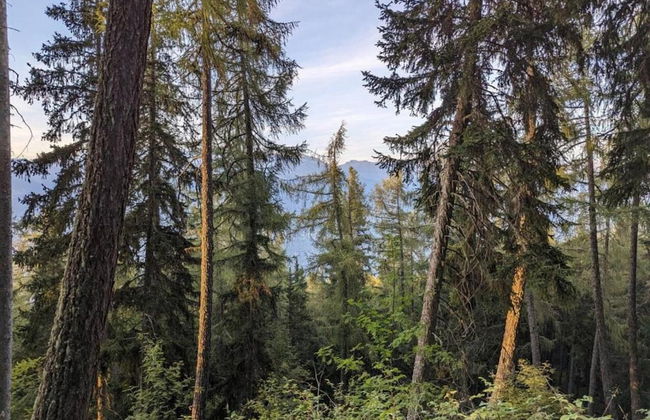 Chalet in Rhone Valley Near Ski Lift - Foto 35