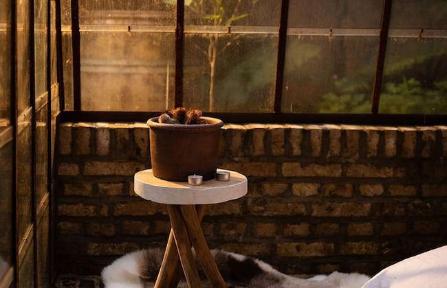 La Petite For t Antique Countryside Greenhouse - Foto 43