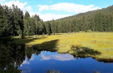 Ferienwohnung-Panoramablick -4 - Foto 27