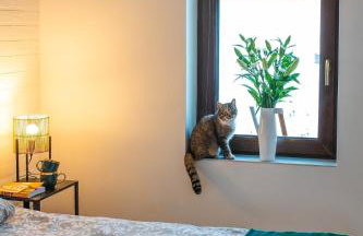 Agroturystyka Świętego Józefa - Foto 14