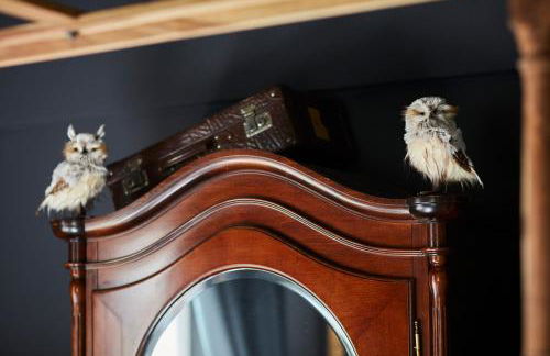 Little Wizard Apartment Hamburg - bis 4 Personen - 44 qm - Küche - Smart TV - kostenloser Parkplatz - Foto 12