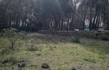 La maison du rouquet - Foto 24