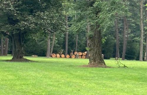 High Meadows Estate - Foto 80