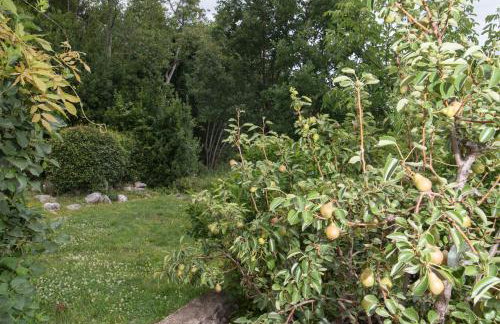 Apartment Alba - Photo 26