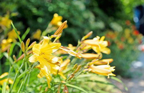 Ferienwohnung Aschoff - Photo 2