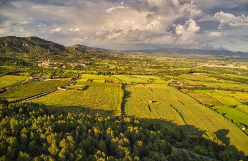 La Muntanera - Eco-friendly apartment - Foto 33