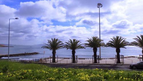 Entre o Mar e Lisboa - Foto 2, Other