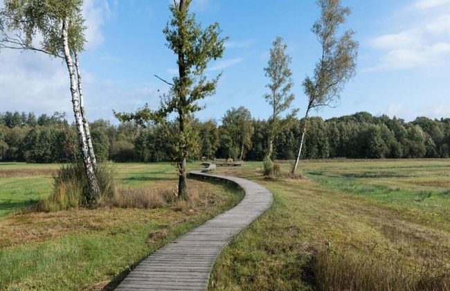 Designer Chalet in the Veluwe - Photo 39