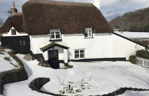 Cosy and unique Thatched Cottage on Dartmoor - Foto 3