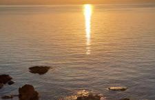 Dinas Inn - Photo 45