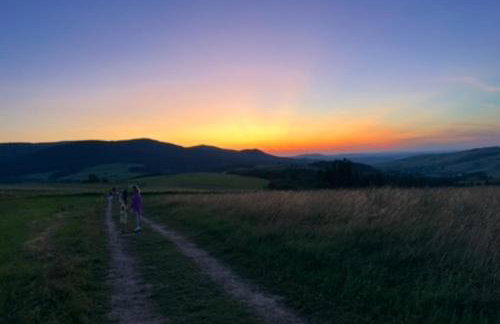 Modrzewiowy Zakątek - Foto 31