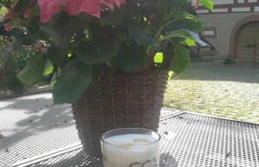 Galerie Ueber den Gaerten - Foto 23