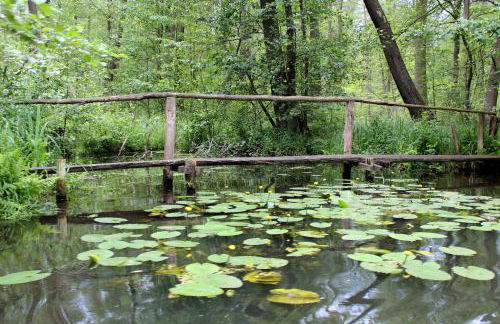 Spreewald Unterkünfte - Foto 38