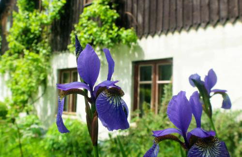 Dom Geologa - Foto 29