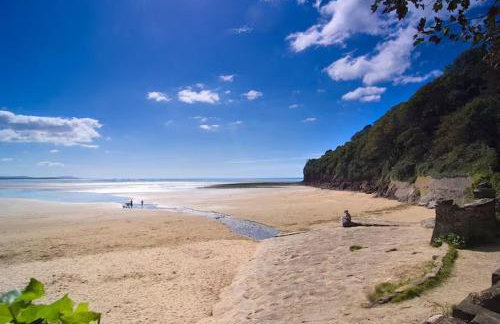 Gardener's Cottage Carmarthenshire Sleeps 5 - Foto 16