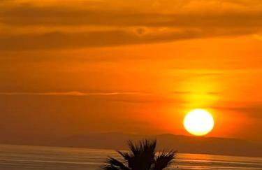 Las Farolas Sun & Sea - Photo 25