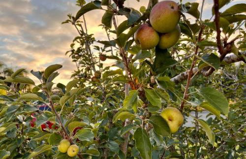 Mile to Beach! Tiki Master Suite - Foto 30