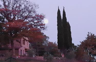 Podere Cagnesi Relax nella natura - Foto 26