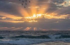 Amelia Island Oceanfront Condo - Foto 38