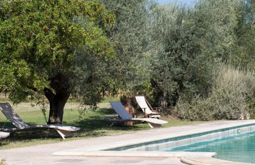 Agriturismo Tra gli Ulivi, Chiappini Winery - Photo 71