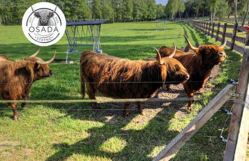 Osada Stepno - Foto 52