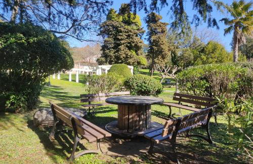 Escapade ensoleillée aux Parcs de Grimaud - Foto 13