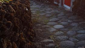 Adega dos Terceira - Photo 4, Other