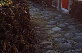 Adega dos Terceira - Photo 4