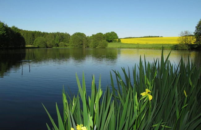 Ferienhaus in Vogtland - Foto 23