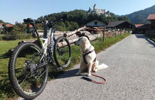 ciao-aschau Haus zur Burg Ap233 Julia - Foto 8