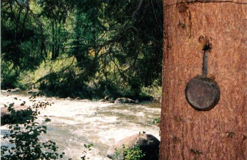 Pet-Friendly Cabin Getaway for Groups near Aspen, Colorado - Photo 24