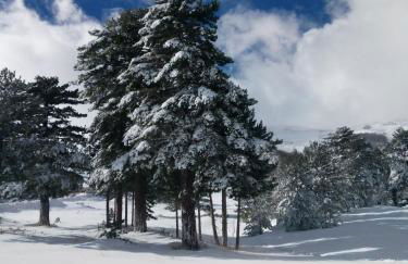 Rifugio Il Ginepro dell'Etna - Foto 32
