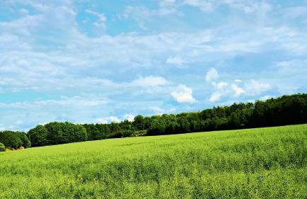 Zielony Zakątek - agroturystyka blisko morza - Foto 26