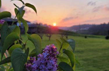 Apartamentos rurales Casa Rosi - Foto 25